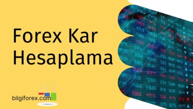 Forex Kar Hesaplama