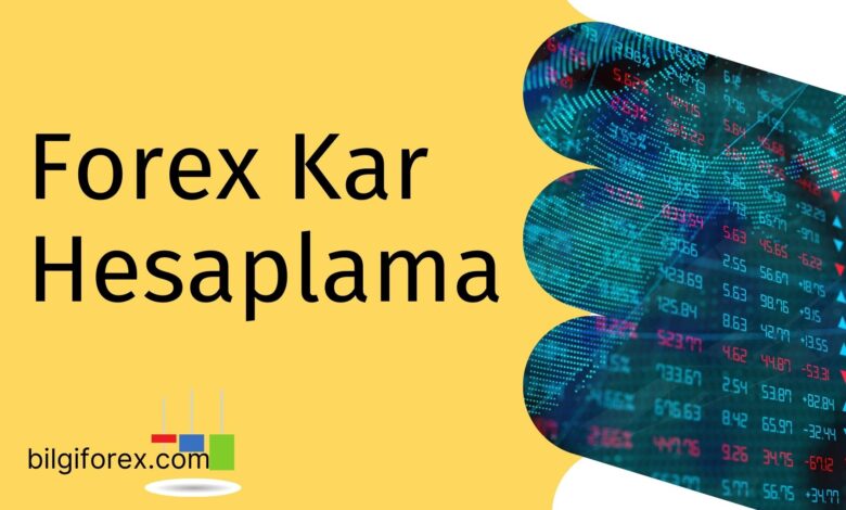 Forex Kar Hesaplama
