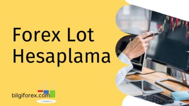 Forex Lot Hesaplama