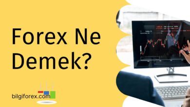Forex Ne Demek?