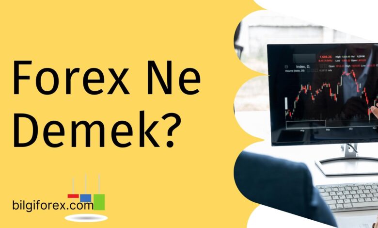 Forex Ne Demek?