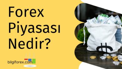 Forex Piyasası Nedir