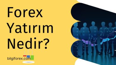 Forex Yatırım Nedir