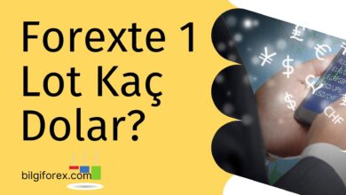 Forexte 1 Lot Kaç Dolar