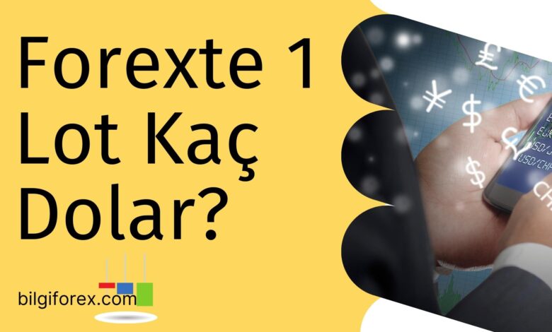 Forexte 1 Lot Kaç Dolar