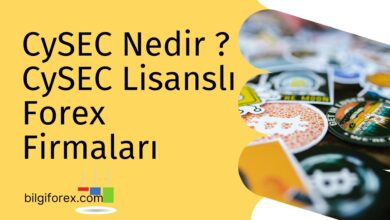 CySEC Nedir? CySEC Lisanslı Forex Firmaları