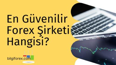 En Güvenilir Forex Şirketi Hangisi