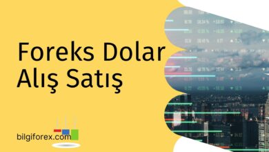 Foreks Dolar Alış Satış