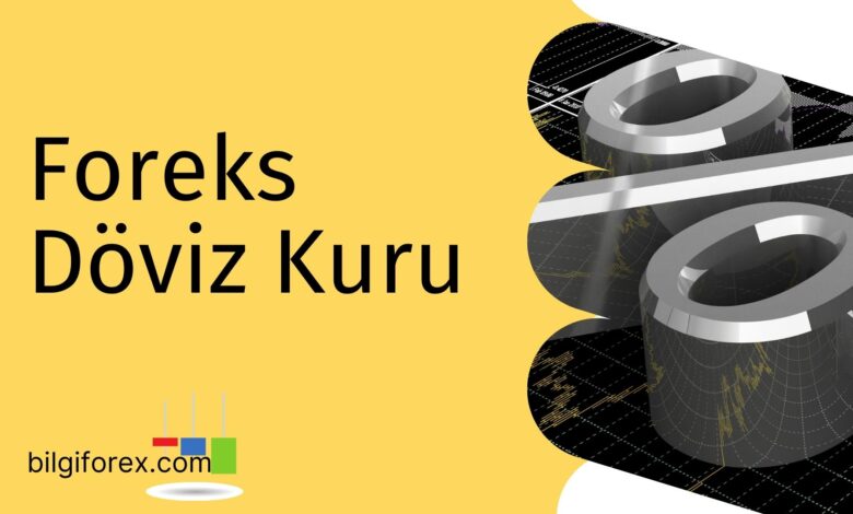 Foreks Döviz Kuru