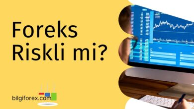 Foreks Riskli Mi