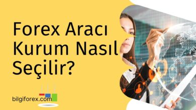 Forex Aracı Kurum Nasıl Seçilir