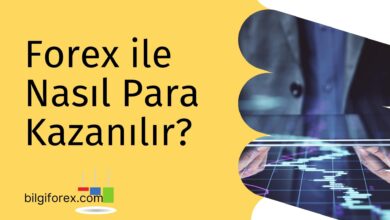 Forex ile Nasıl Para Kazanılır?