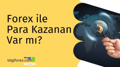 Forex ile Para Kazanan Var Mı