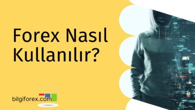 Forex Nasıl Kullanılır?
