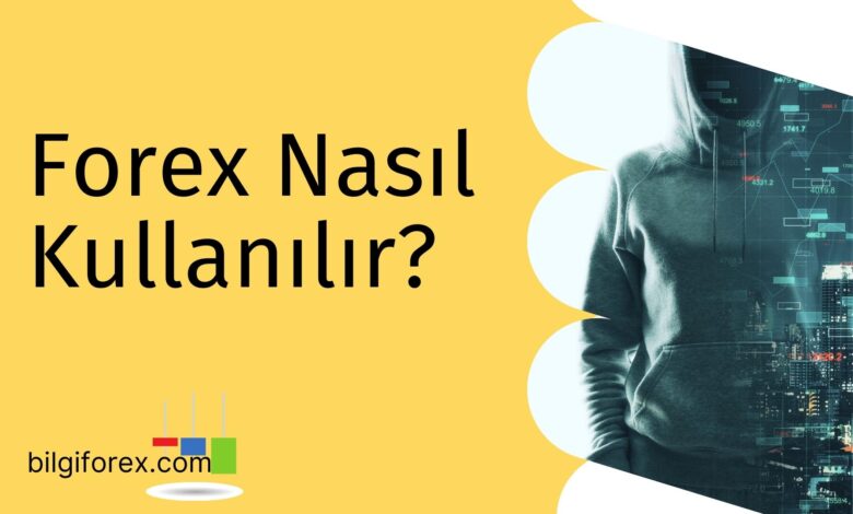 Forex Nasıl Kullanılır?