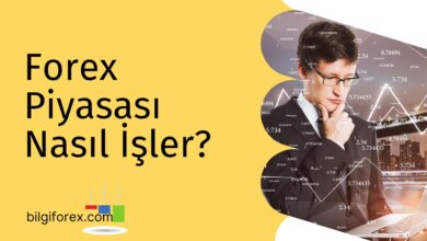 Forex Piyasası Nasıl İşler