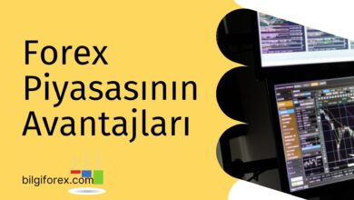 Forex Piyasasının Avantajları