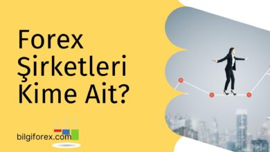 Forex Şirketleri Kime Ait