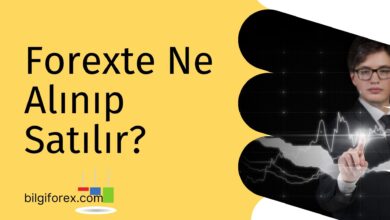 Forexte Ne Alınıp Satılır