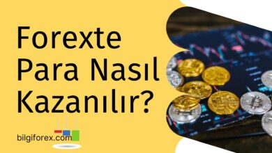 Forexte Para Nasıl Kazanılır