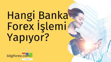 Hangi Banka Forex İşlemi Yapıyor