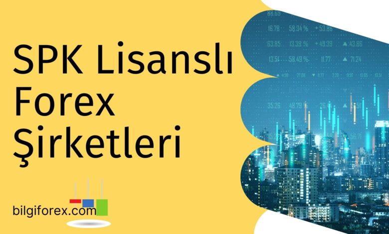 SPK Lisanslı Forex Şirketleri
